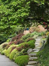Garden And Lawn The Variety Of Japanese Garden Plants Golden Japanese Forest Grass And Evergreen Japan Japanese Garden Plants Japanese Garden Sloped Garden