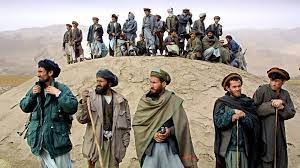 Nach der brandkatastrophe in australien: Afghanistan Nicht Ohne Meine Mudschahedin Ausland Faz