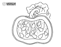 A pumpkin covers multiple color schemes such as orange, green, yellow, blue, red, etc. Pumpkin Worksheet Superstar Worksheets
