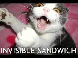 Funny Icanhazcheeseburger Slideshow Foto Lucu Kucing Lucu