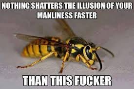 Pin On All Types Of Funny Pictures Funny Memes Funny Jokes