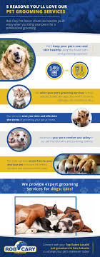 Your professional pet groomer will be able to advise you on the full range of options available, as you should look out for pet groomers who have certificates in grooming assistants and what do you love most about your job? Grooming Rob Cary Pet Resort