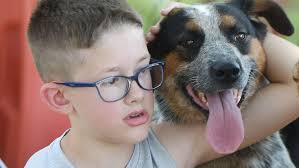 A closer look at the 2022 Story County Fair