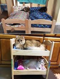 Les Chats Ont Enfin Trouve Leur Lit Au Rayon Poupee D Ikea Ikea Lit Poupee Idees De Lit