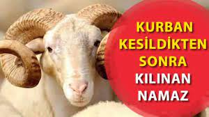 Namazı kıldıran diyanet i̇şleri başkanı ali erbaş hutbe. Kurban Kesildikten Sonra Kilinan Namaz Sukur Namazi