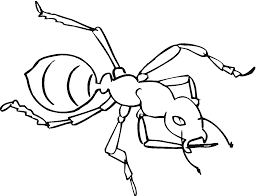 The best part is that an ant based theme offers something for all age groups. Free Printable Ant Coloring Pages For Kids