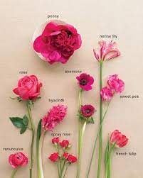 If you're looking for flowers with a gorgeous hue and lively feeling, try various pink flowers. 25 Hot Pink Flowers Ideas Pink Flowers Flowers Hot Pink Flowers