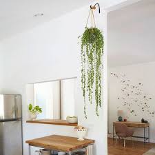 What method that we suggested on how to hang plants from the ceiling you think is best for you? Designing With Potted Plants Minimalist Home Decor Home Decor Hang Plants From Ceiling