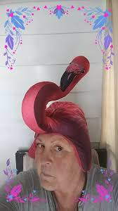 Collection of knitted hats in various colors