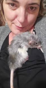 these coats are so cute!! 🙌🏼