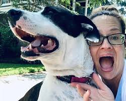 The DIVAS Pet Sitters, LLC