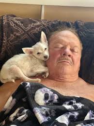 A sweet nap with his friends. Tommy 3 years old