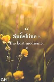 A day without sunshine is a day without you. Best 45 Inspirational Sunshine Quotes Captions For Instagram Captionsgram
