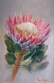 Pin By Louis Van On Proteas Flower Art Painting Protea Art Flower Art