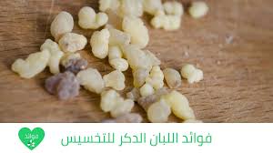 فوائد اللبان الدكر للتخسيس وأهم طرق استخدام لبان الدكر للتخسيس food breakfast vegetables