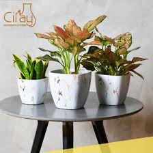 See more ideas about planters, outdoor gardens, cement planters. China European Simple Indoor Cement Planter Pot With Heat Transfer Printing China Pot And Cement Pot Price