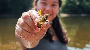 Fall 2024 • Ursinus