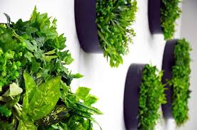 10 best outdoor plants of march 2021. How Can You Keep Artificial Plants From Fading Outside Archeyes