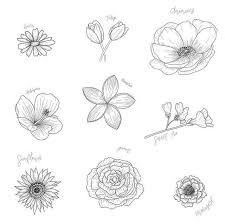 Pin By Jimena On Dibujos Flower Art Painting Hand Lettering Art Floral Drawing Design
