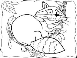 Free printable raccoon coloring page (pdf format) to download and print. Txav2hpabf8vrm
