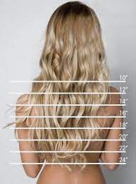 Hair Length Chart Great For When You Just Can T Describe Where You Want Your Hair To Fall The Beauty Thesis How To Grow Your Hair Faster Hair Styles Long