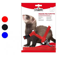 Il furetto è il vostro amico ideale? Camon Pettorina Con Guinzaglio Per Furetti Epoca Italpigeon Pet Shop