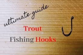 Trout Hooks A Guide To Choosing The Best Trout Fishing Hooks