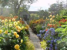 Rose 'wollerton old hall', rosa 'ausblanket', shrub roses, david austin roses. Wollerton Old Hall Garden Bild Von Wollerton Old Hall Garden Wollerton Tripadvisor