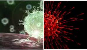 Health officials in the uk confirmed that 73 coronovirus cases. Ajzrftn9zl7xwm