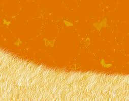 Large group of beautiful yellow, white and orange abstract colored painted jezebel butterflies emerging from their chrysalis form, under palm fronds, ready to begin their life as butterflies. Orange Butterfly Wallpaper By Sunny393 On Deviantart