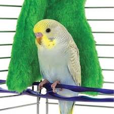 Cozy Corner Medium 8 Purple Pet Birds Pet Store Small Birds