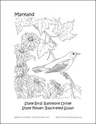 Birds Native To Maryland Free Word Searches Crossword Puzzles And More For Women S History Month State Birds Bird Coloring Pages Womens History Month