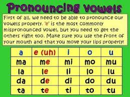French Phonics Phonics Learn French French Vocabulary