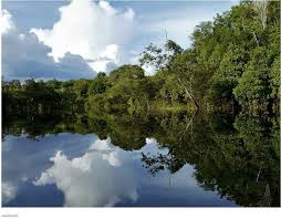 Amazonas (colombia) — amazonas es un departamento de colombia creado por la constitución nacional el 4 de julio de 1991. Selva Del Amazonas Frontera De Brasil Peru Colombia Venezuela Ecuador Y Bolivia Breathtaking Places Bolivia Travel Latin America