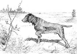 Just make sure to stay in the lines. Coloring Page Hunting Dog Dog Print Art Dog Coloring Page Hunting Dogs