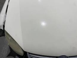 Image result for Campanella White 2007 GLI