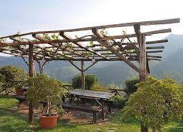 Pergola Aus Holz Mit Weinranken Von Holz Hauff In Leingarten Pergola Bauen Pergola Gartenlaube Selber Bauen