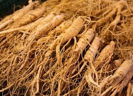 Quinquefolius), typically characterized by the presence of ginsenosides and gintonin. Ginseng Description Traditional Medicine Species Britannica