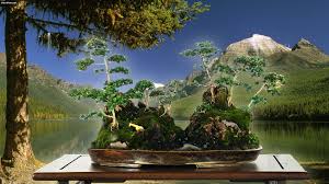 Seni bonsai jepang awalnya berasal dari penjing (bonsai adalah pelafalan bahasa jepang untuk penzai). Kreasi Bonsai Penjing Memerlukan Imajinasi