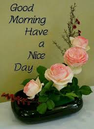 Engage in something you find pleasurable first thing in the morning. Good Morning Greetings Good Morning Images Flowers Good Morning Happy Saturday Good Morning Quotes