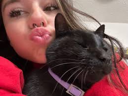 Has anyone seen this missing dog