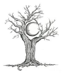 Pencil Drawing Trees Images Pencildrawing2019 All the best pencil tree sketches 35+ collected on this page. pencil drawing trees images