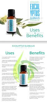 Eucalyptus Essential Oil Globulus Uses And Benefits Eucalyptus Essential Oil Essential Oils For Headaches Essential Oils