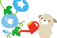 あさがお（朝顔）イラスト（無料イラスト）フリー素材