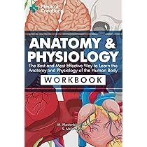 Amazon.com: Human Anatomy Coloring Book