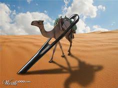 Some have believed that the phrase eye of the needle refers to the name of a small gate into a city through which camels had to kneel to enter. 54 The Eye Of A Needle Ideas Willard Wigan Needle Willard