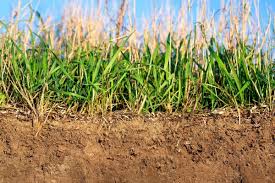 Bei der auswahl der erde sollten sie auf herkömmliche gartenerde setzen, die am besten aus der gleichen region stammt. Rasen Anlegen Wie Hoch Mutterboden Auffullen Gartendialog De