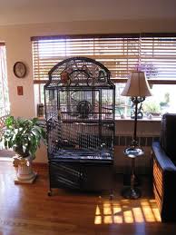 Bird Cage For Sale Craigslist Post Your Bird Cage Pics Page 5 Bird Cage Pet Bird Cage Budgies Bird