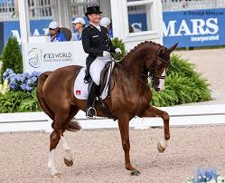 Silver medalist, isabell werth of germany riding weihegold old competes during dressage individual grand prix freestyle on day 10 of the rio 2016 olympic games at olympic equestrian centre on. Isabell Werth Bella Rose Win German Championship Grand Prix First Show In 2019 For World No 2 Dressage News
