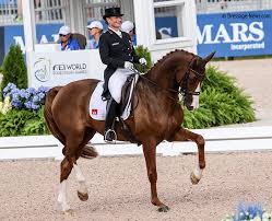 Isabell werth was the next of the germans. Isabell Werth Bella Rose Win German Championship Grand Prix First Show In 2019 For World No 2 Dressage News